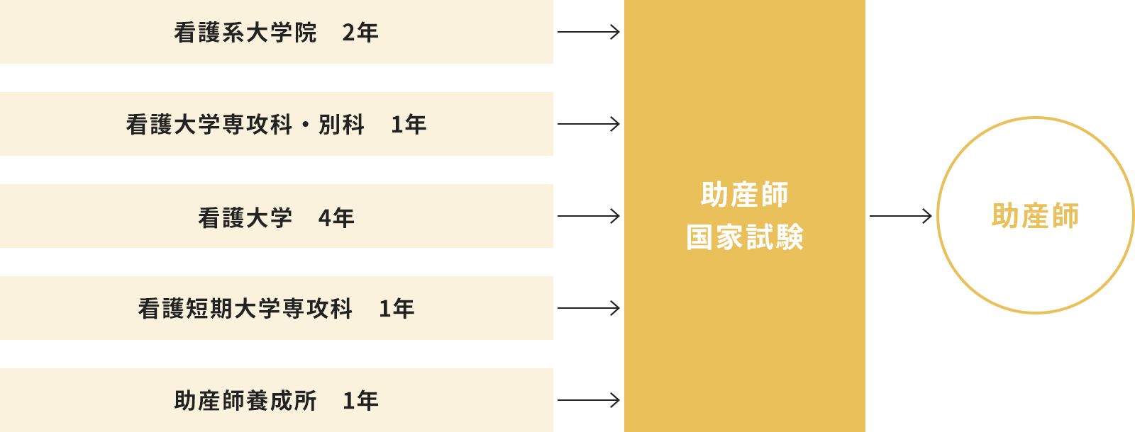 助産師になるための進路コース